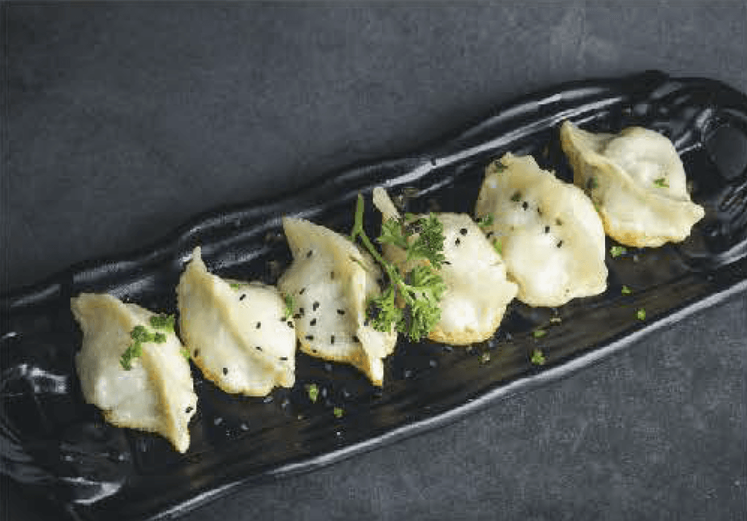 Pan Fried Chinese Cabbage Pork Dumplings